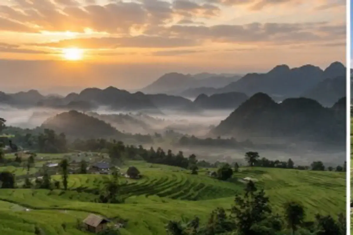 Illustrative view of misty green terraces and forested hills