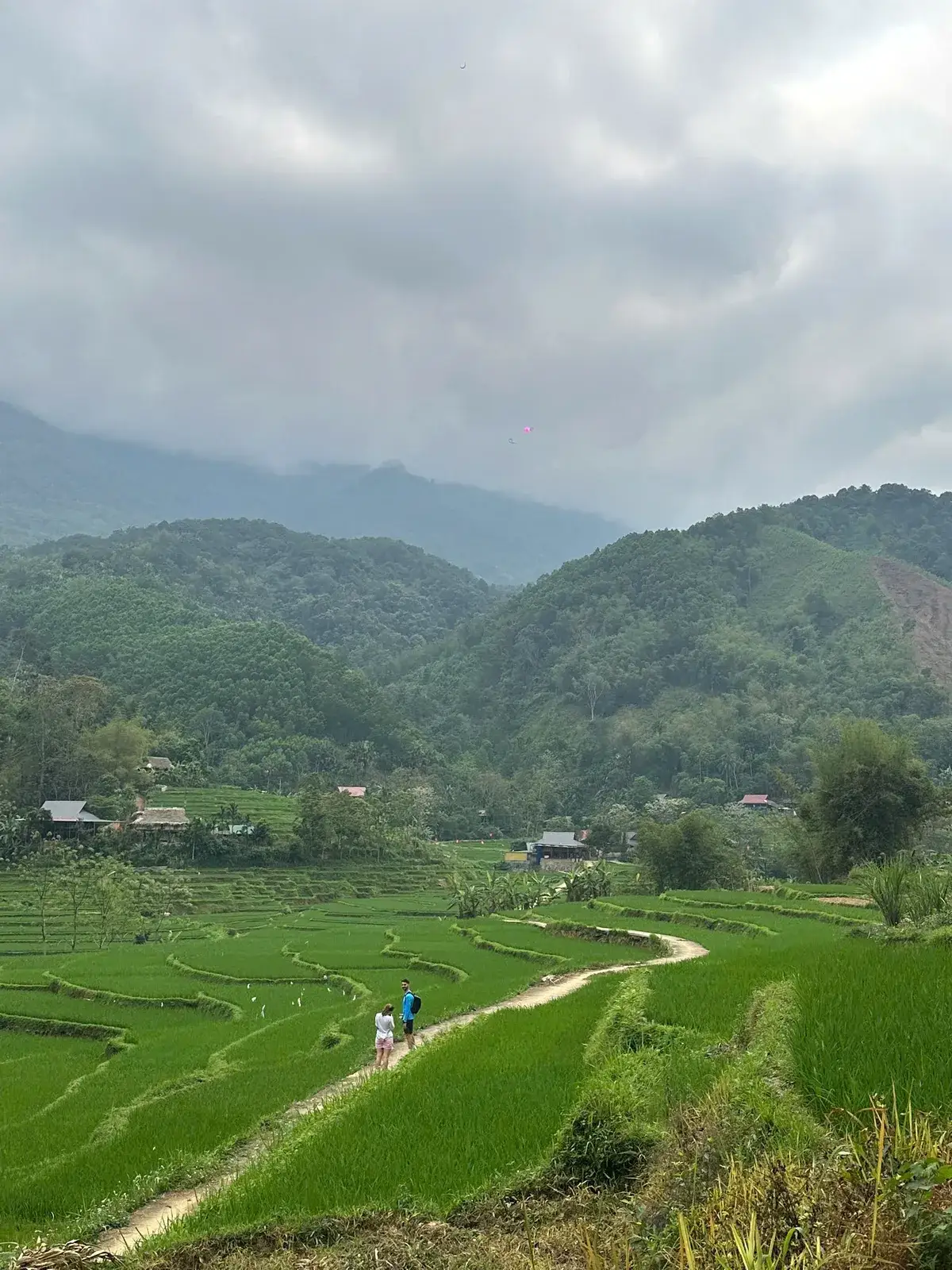 Distant figures on a winding pale path through bright green rice terraces and forested hills