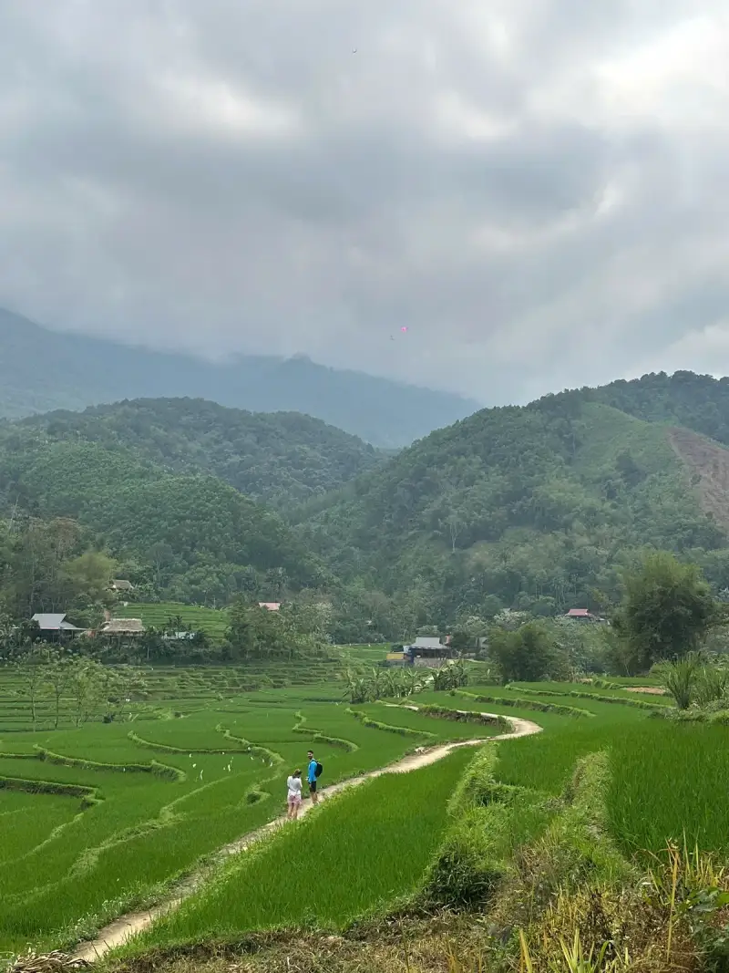 Distant figures on a winding pale path through bright green rice terraces and forested hills