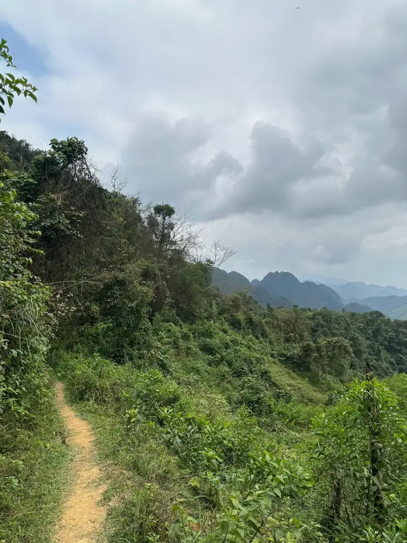 Empty pale earth path on a vegetated hillside with karst ridges under cloud