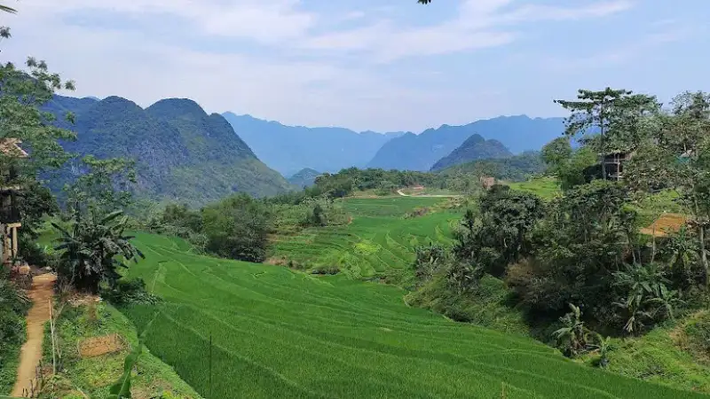 Rice terraces below forested karst hills in Pu Luong