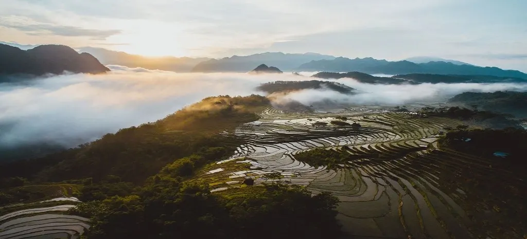 Terraced rice fields in morning mist with forested mountains and sunlit clouds in Pu Luong