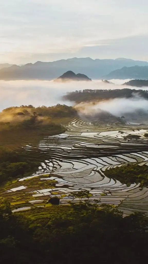 Terraced rice fields in morning mist with forested mountains and sunlit clouds in Pu Luong