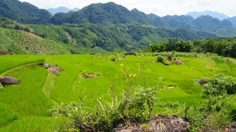 Pu Luong Summit Trek